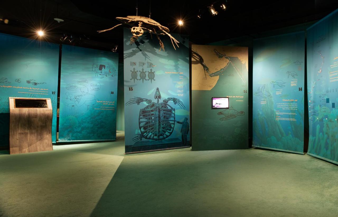 Ras Al Jinz Turtle Reserve Al Hadd Екстериор снимка